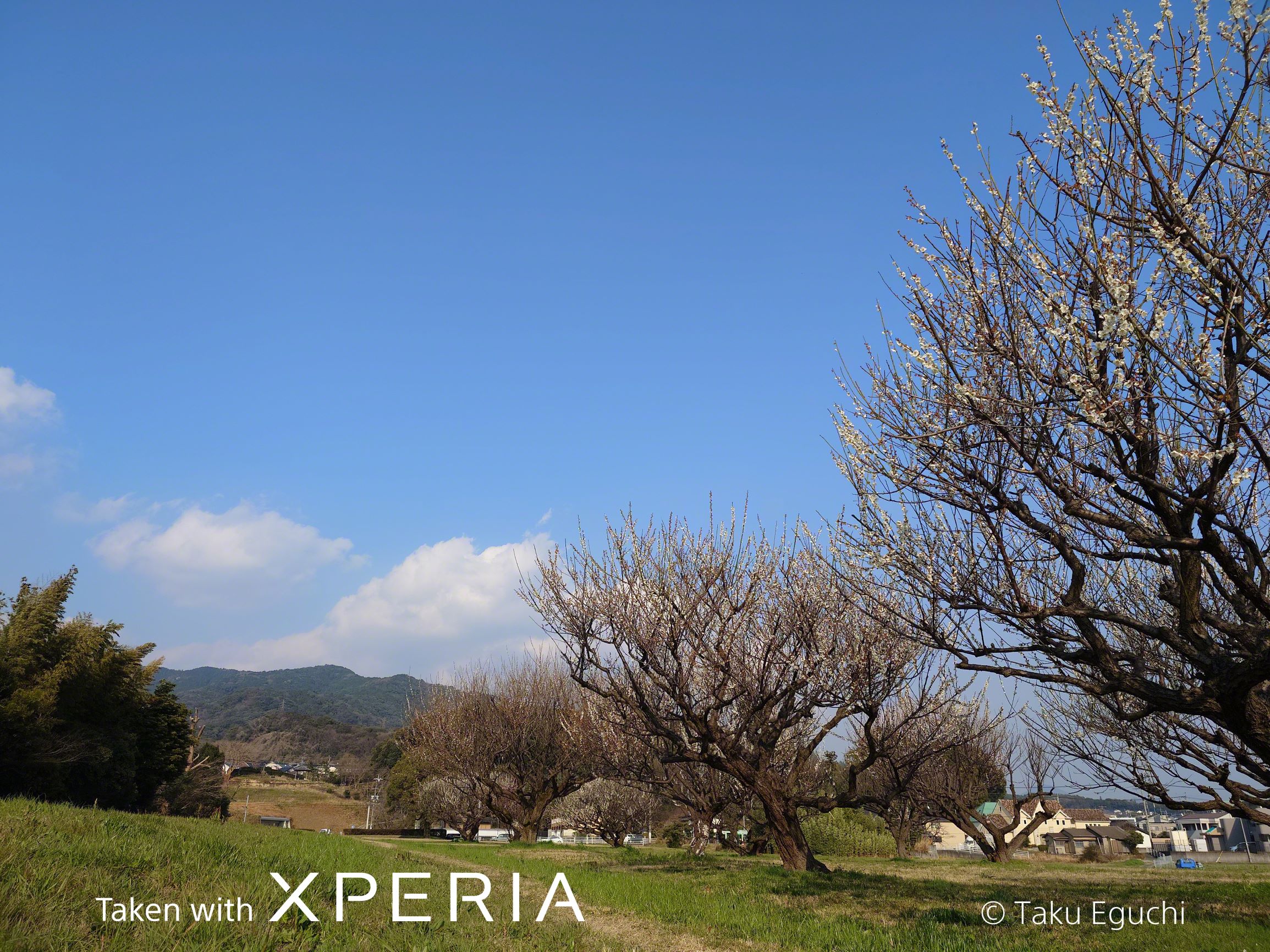 CreativeLook OFF 24mm